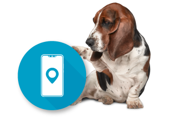 Comparador seguros de auto Uber, Didi, Beat y Cabify